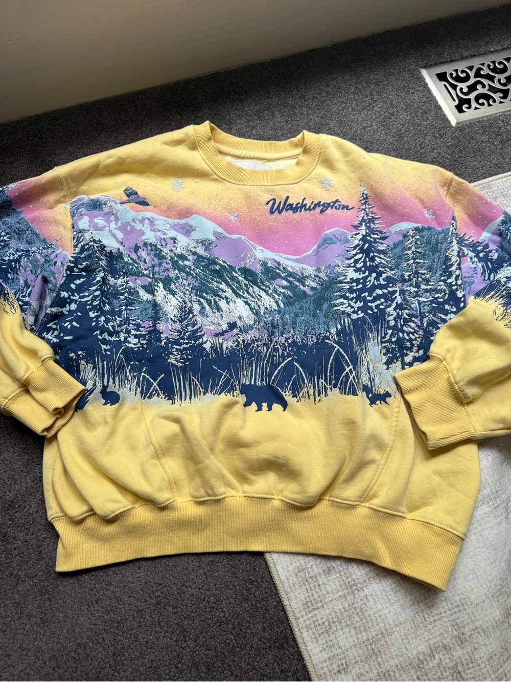 Urban Outfitters Women’s Yellow Washington Nature Graphic Sweatshirt M